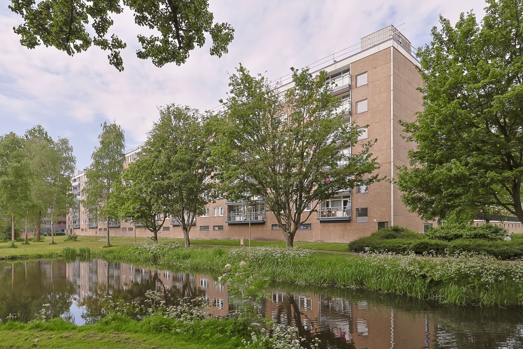 Foto 48 van Argostraat 212