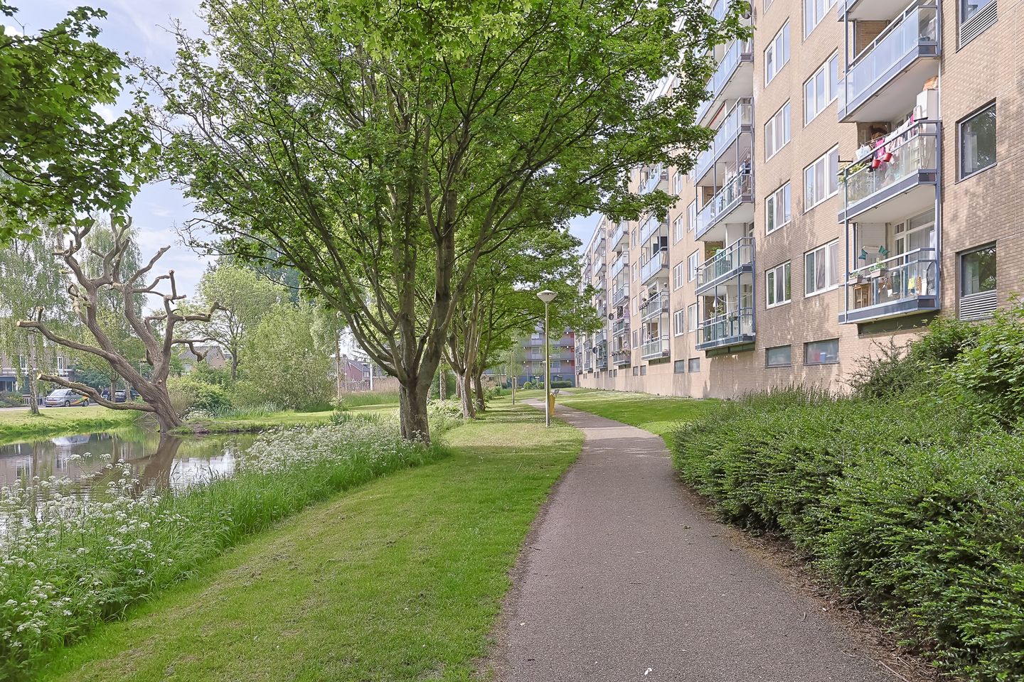 Foto 49 van Argostraat 212