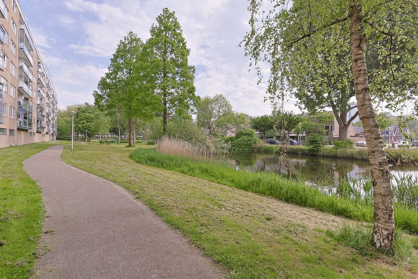 Foto 50 van Argostraat 212