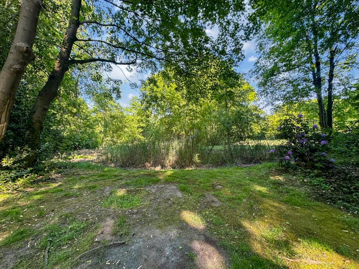 Photo 36 of Professor Korsstraat 2-A