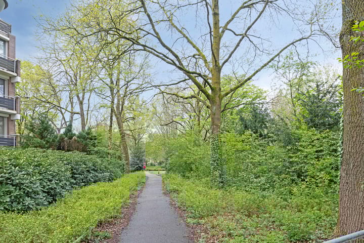 Foto 42 van Jonkheer 23