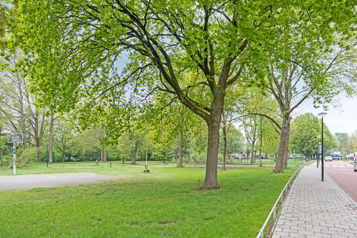 Foto 43 van Jonkheer 23