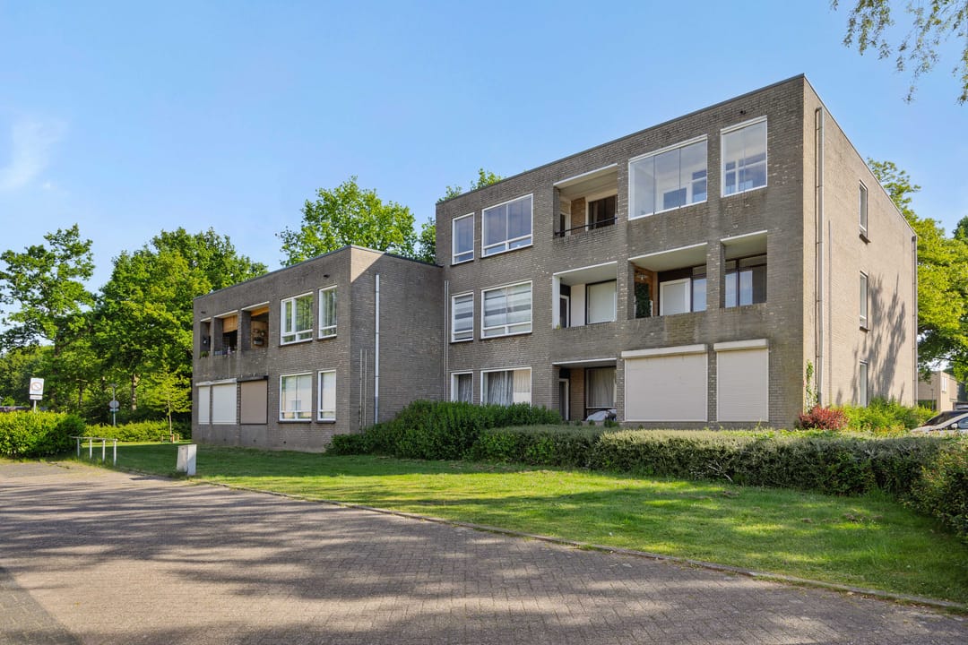 Photo 26 of Gender 29