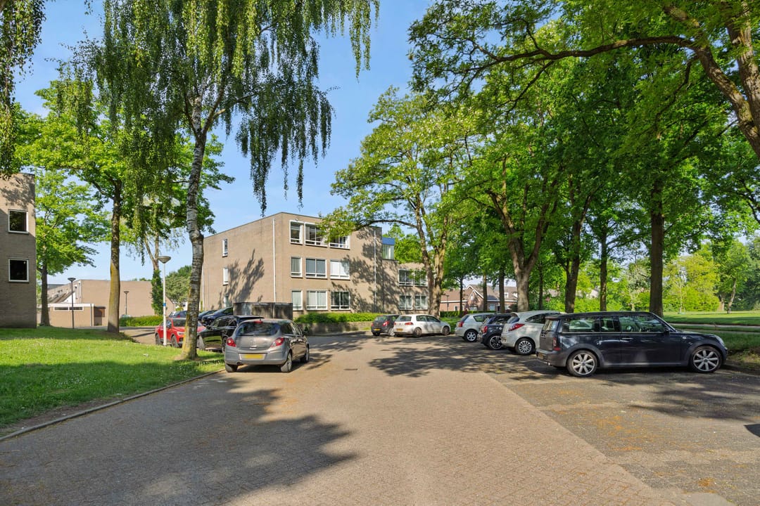 Photo 28 of Gender 29