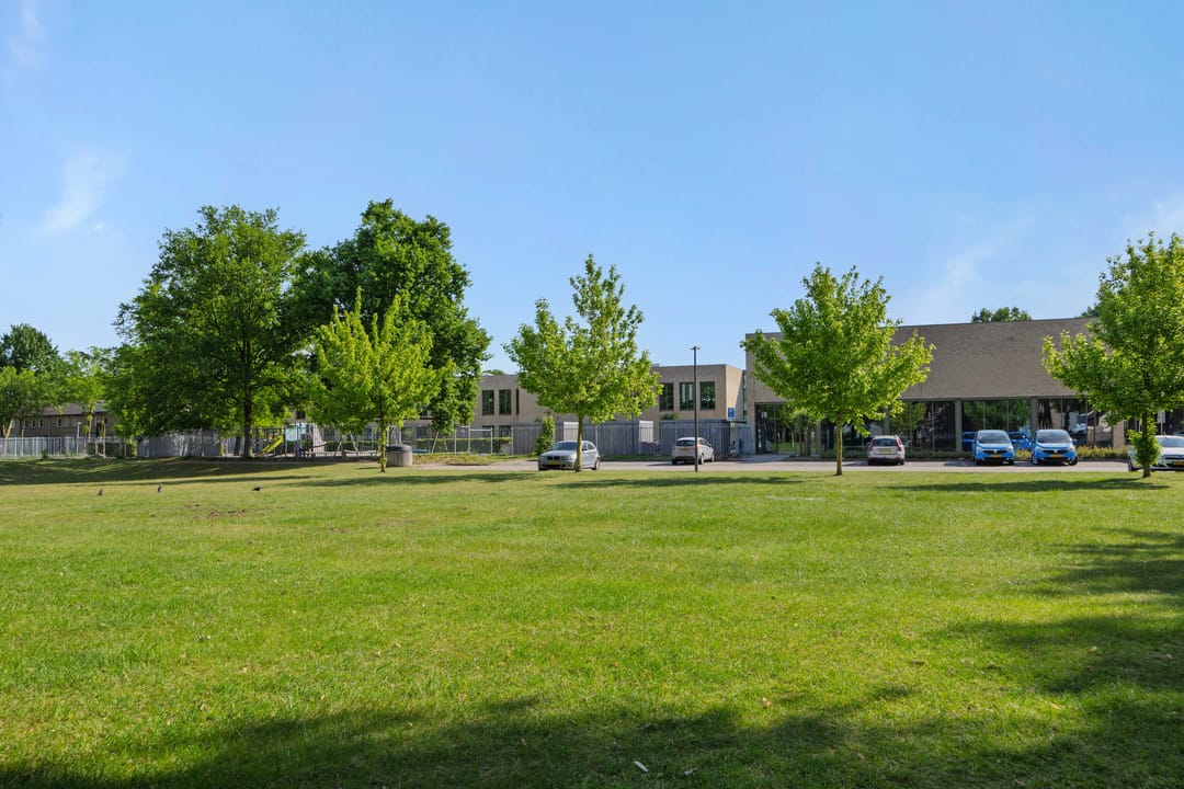 Photo 32 of Gender 29