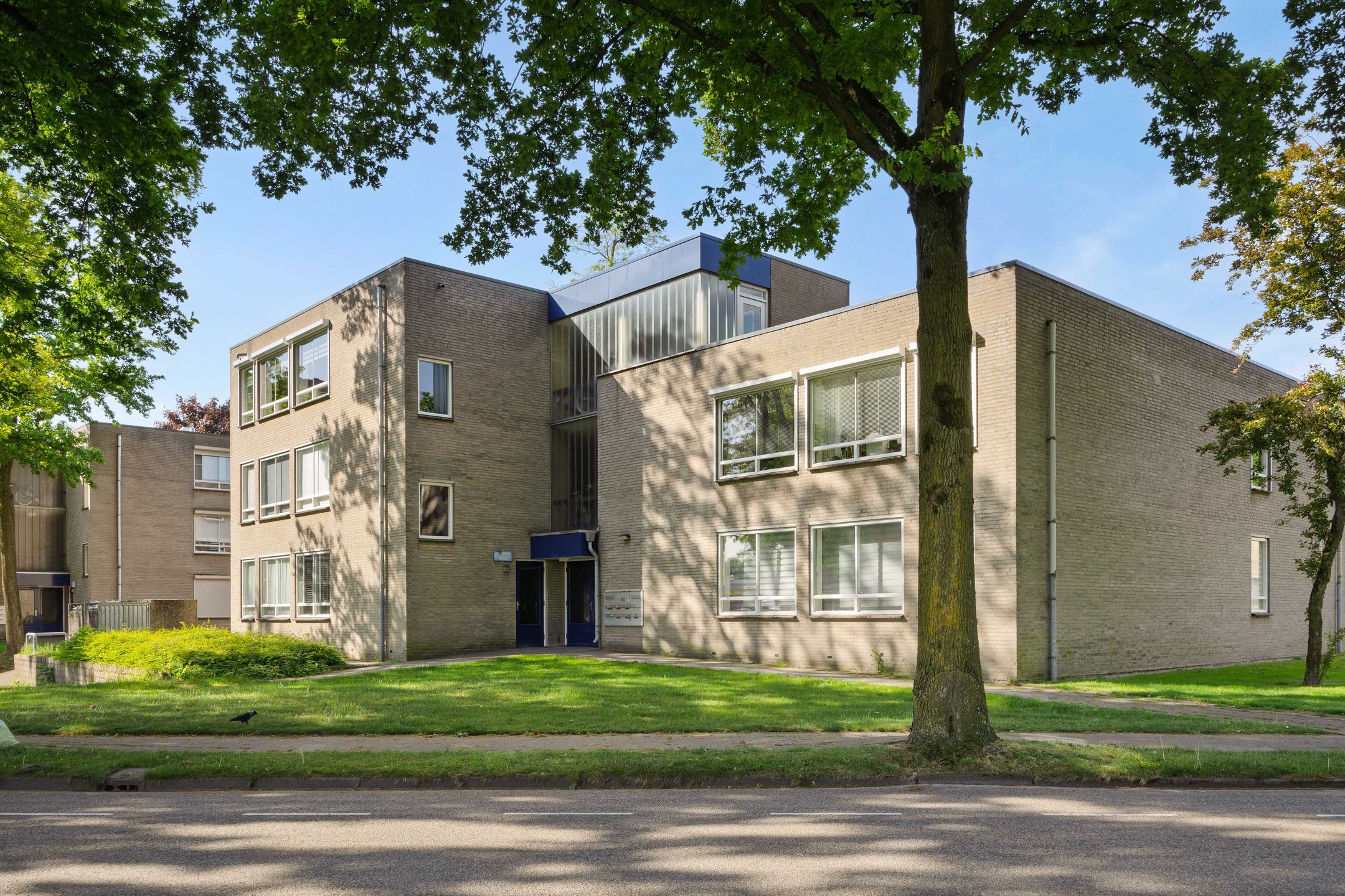 Photo 33 of Gender 29