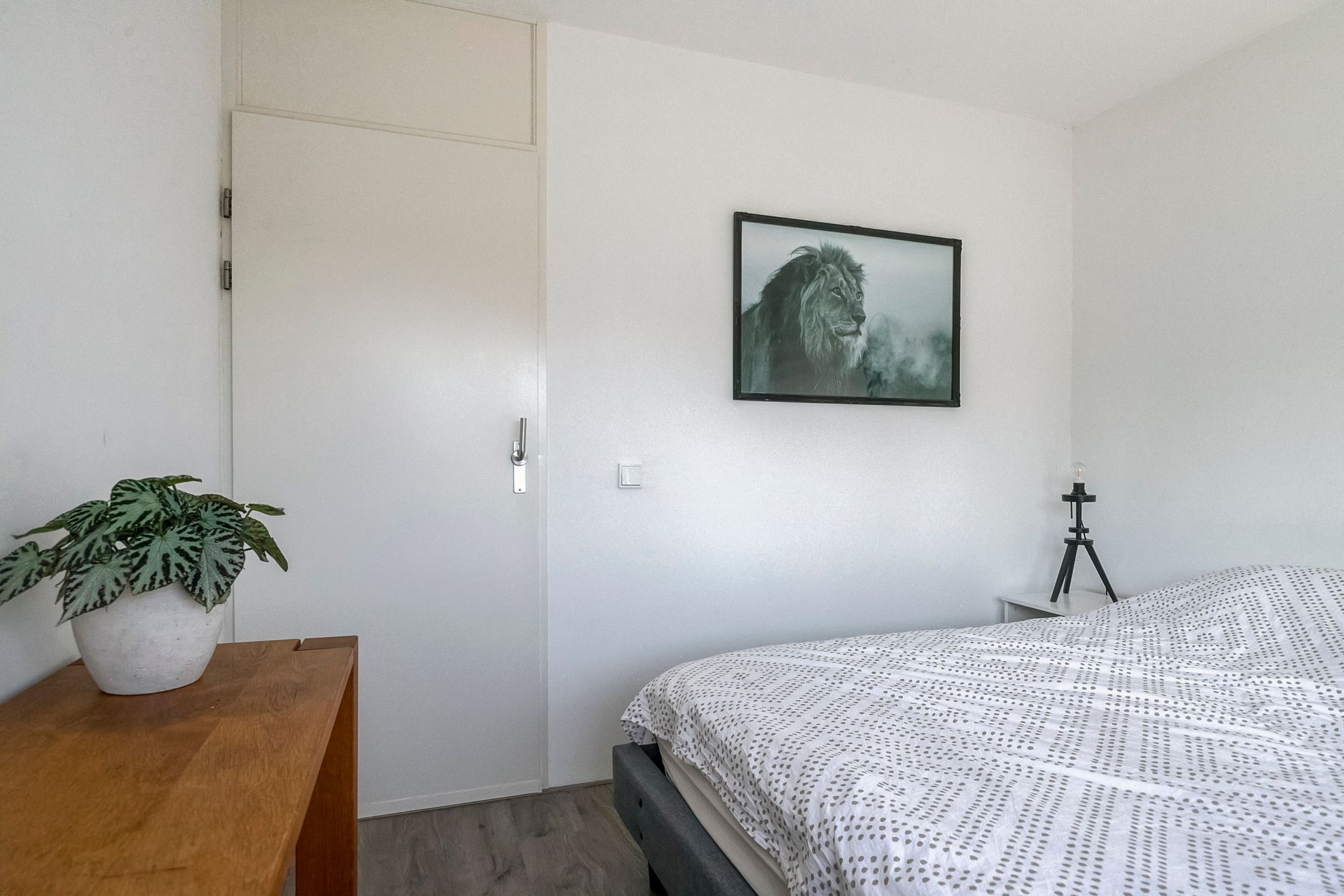 Foto 15 van Bombardonstraat 141