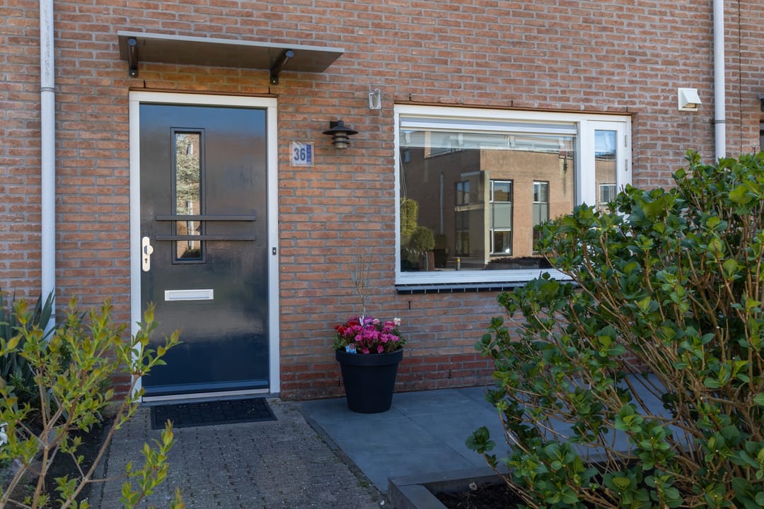 Foto 2 van Toendrameer 36