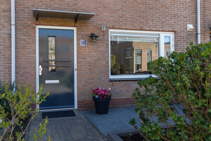 Foto 2 van Toendrameer 36