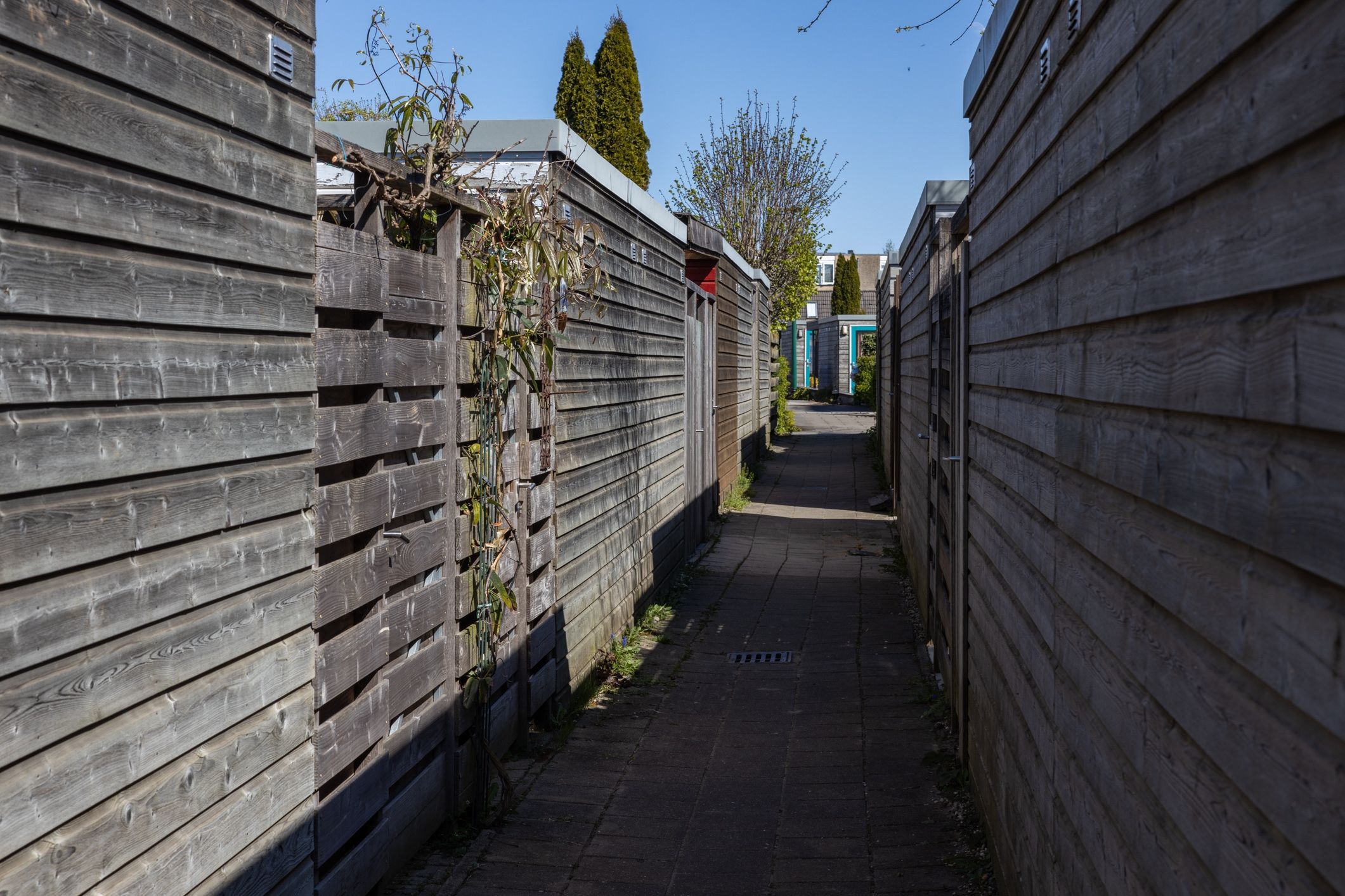 Foto 48 van Toendrameer 36