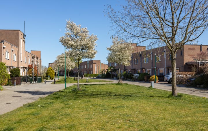 Foto 54 van Toendrameer 36