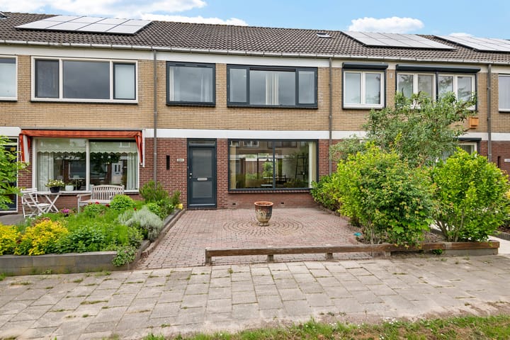 Graan voor Visch 19811