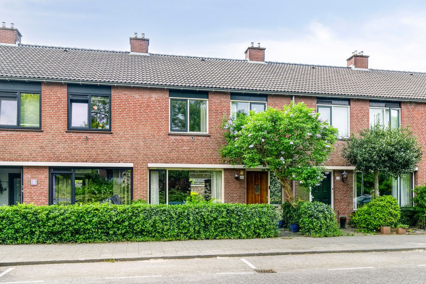 Heidekruid 48 main image
