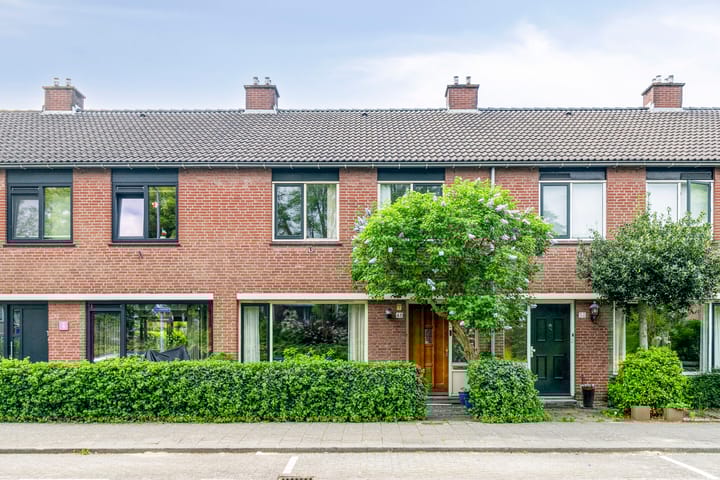 Foto 4 van Heidekruid 48