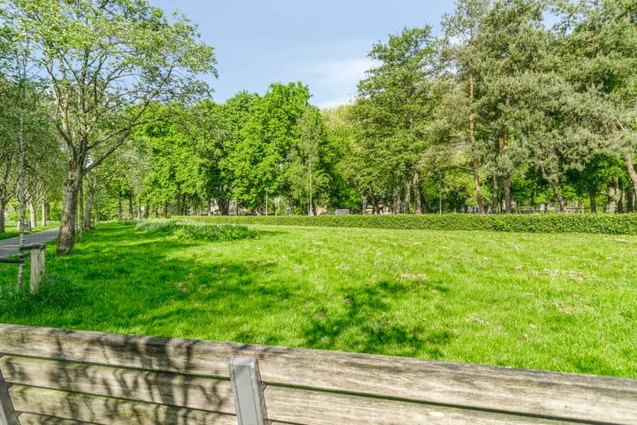 Foto 29 van Heidekruid 48