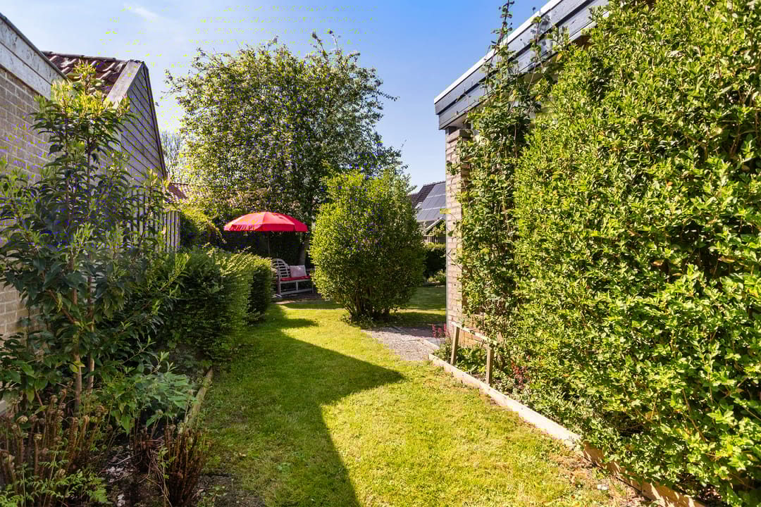 Foto 43 van Bornialeane 31