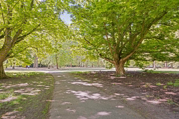 Foto 54 van Groenstraat 24