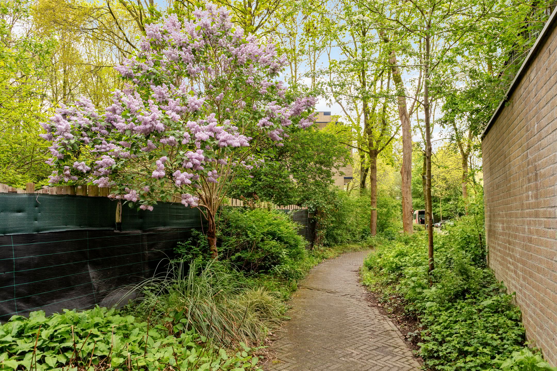 Foto 27 van Karawanken 6