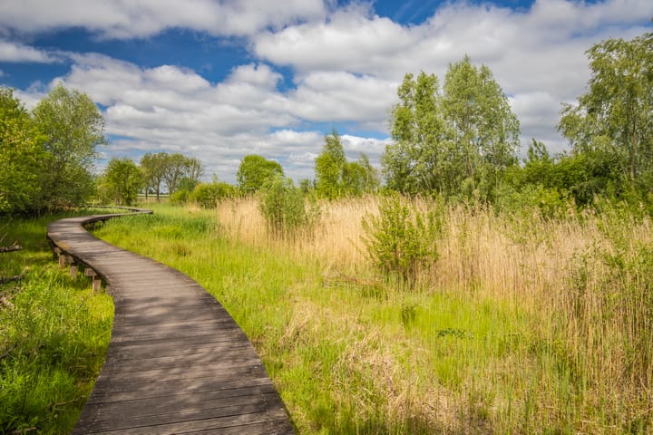 Foto 34 van Laan van de Bevrijding 26