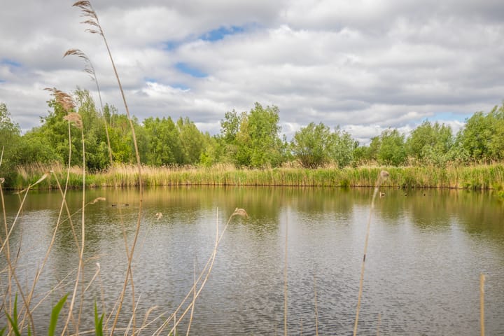 Foto 35 van Laan van de Bevrijding 26