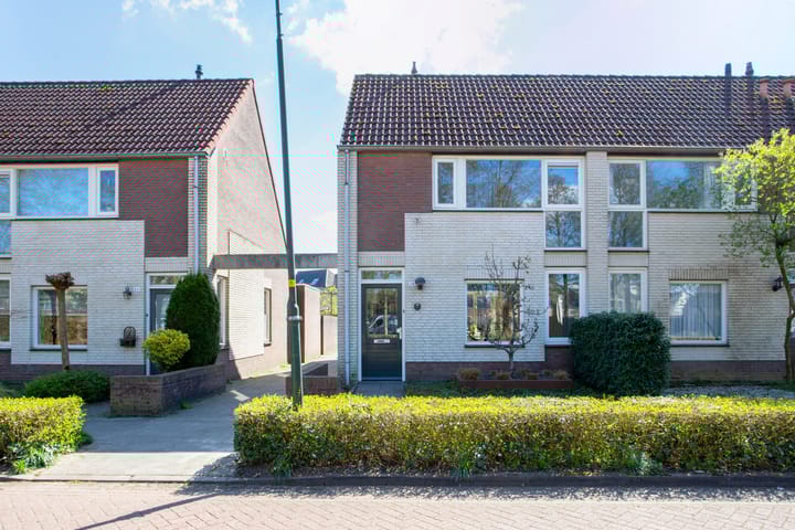 undefined main image