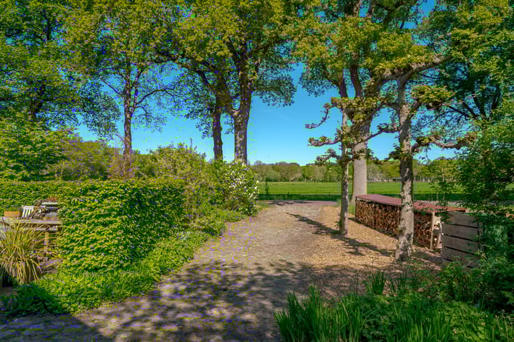 Foto 7 van Hoofdweg 207