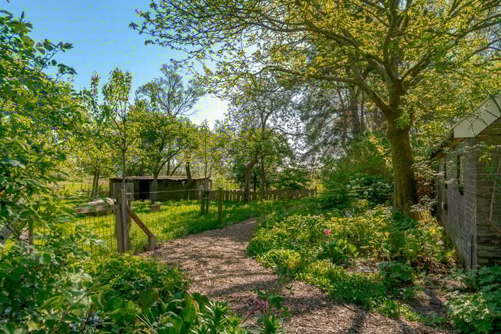 Foto 11 van Hoofdweg 207