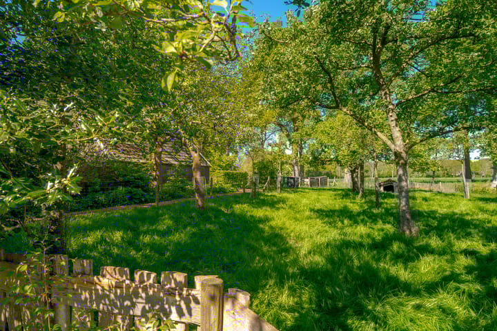 Foto 14 van Hoofdweg 207