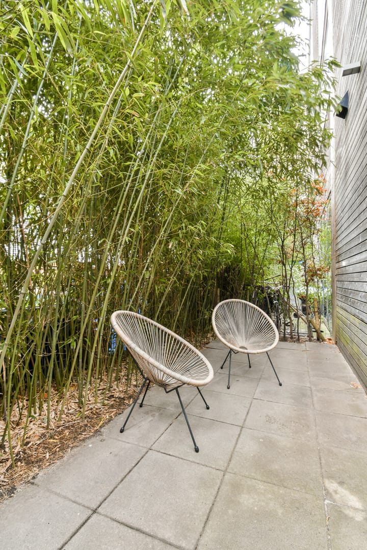 Foto 13 van Bosrankstraat 23