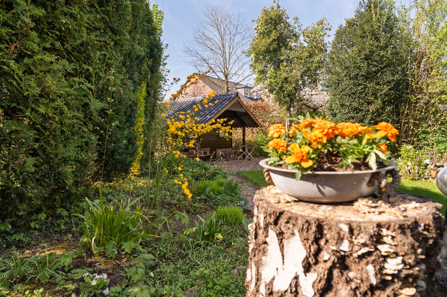 Photo 44 of Ballumerbocht 12