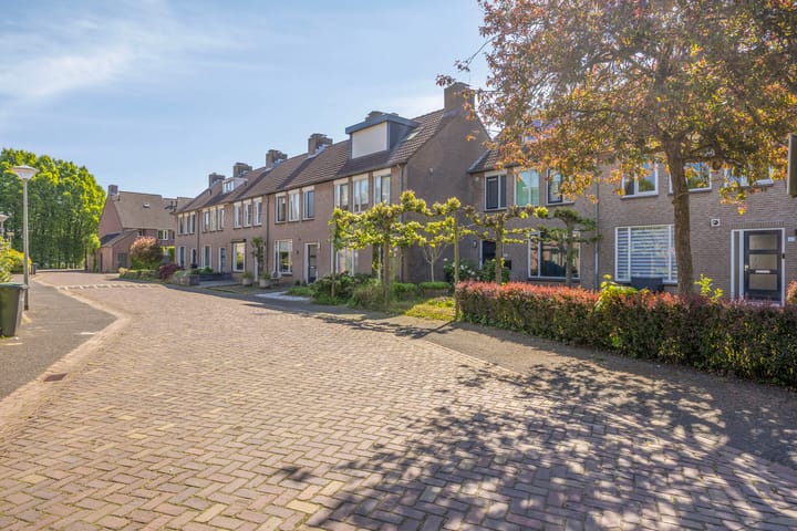 Foto 37 van Hoge Graaf 61