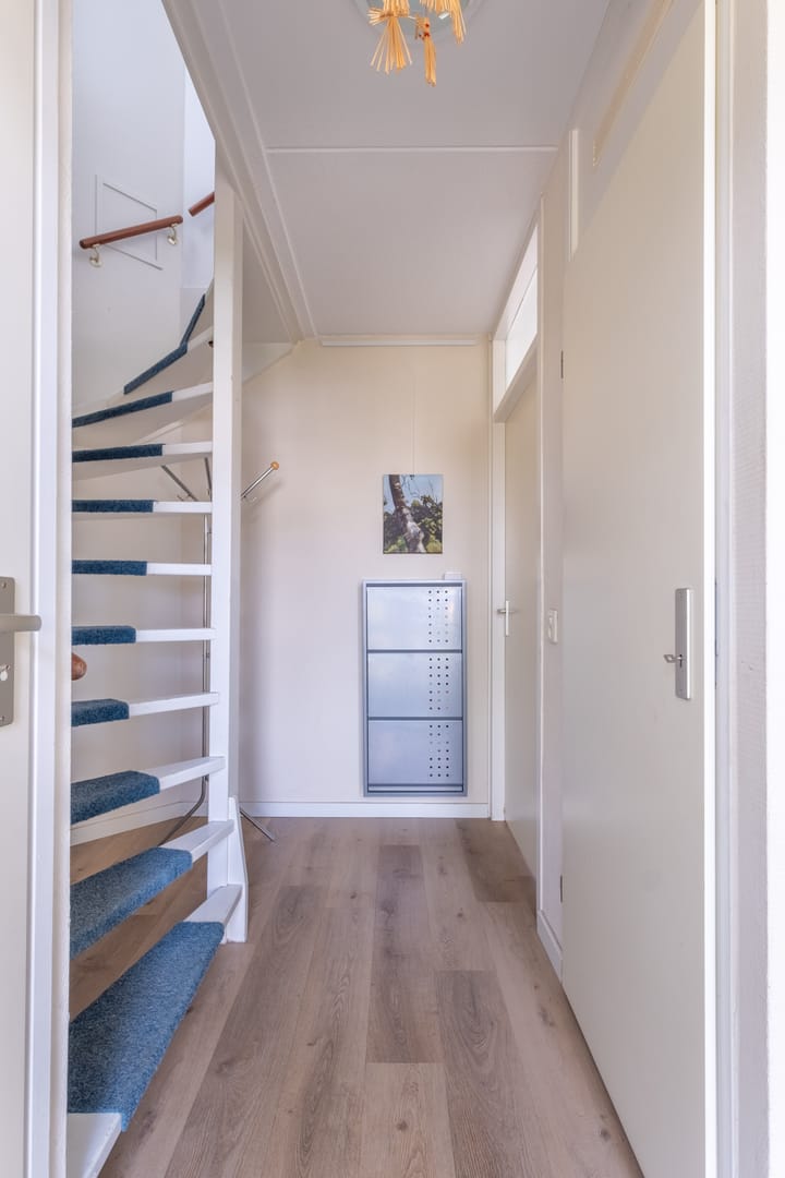 Photo 13 of Wite Finne 41