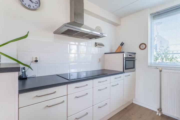 Photo 32 of Wite Finne 41