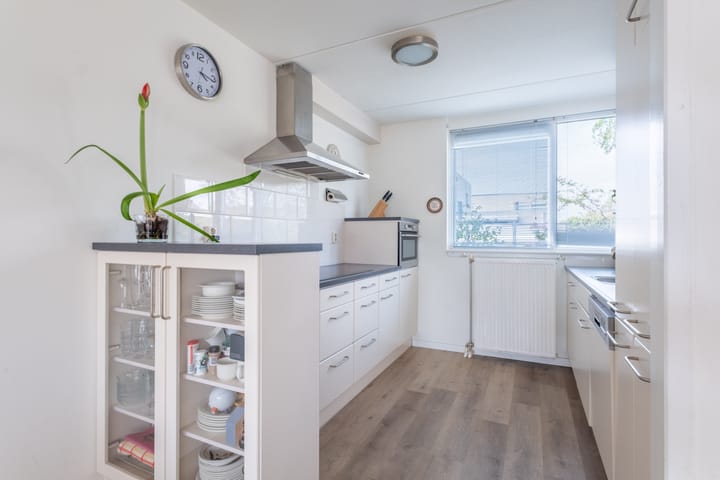 Photo 35 of Wite Finne 41