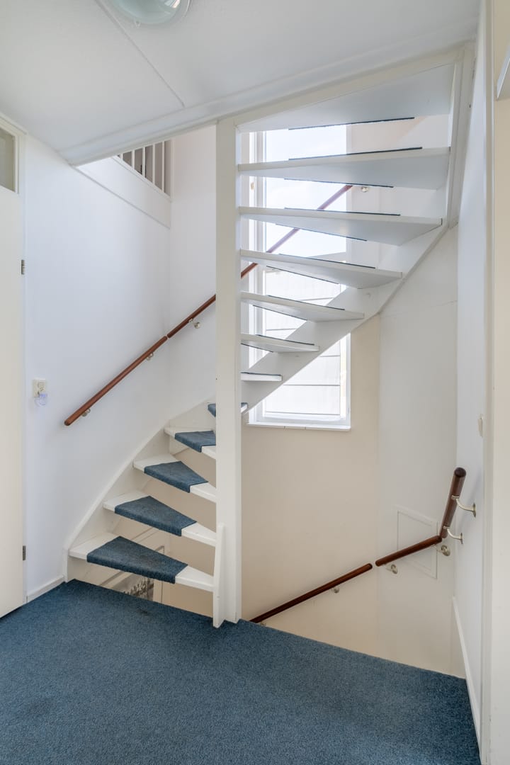 Photo 36 of Wite Finne 41