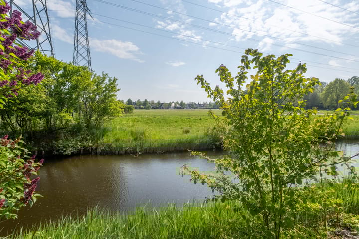 Photo 52 of Wite Finne 41