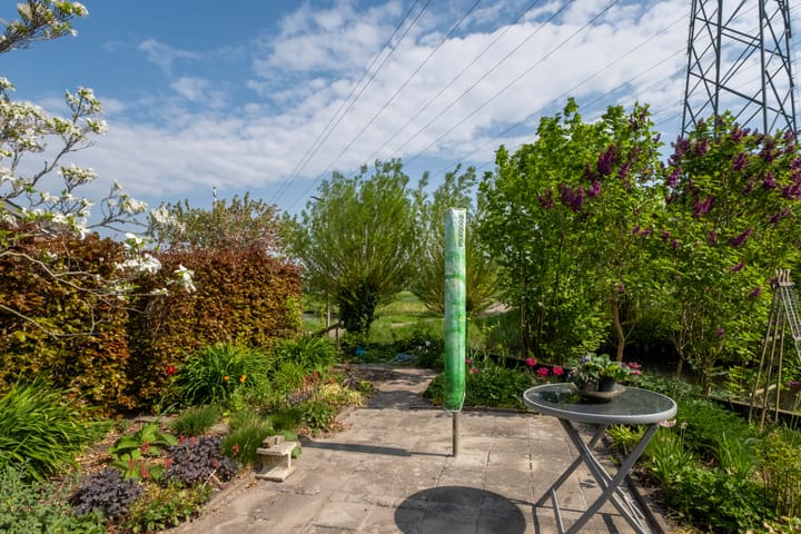 Photo 54 of Wite Finne 41