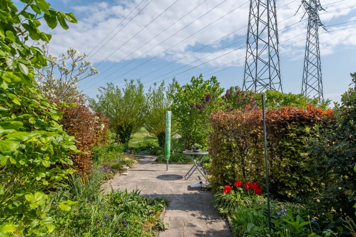 Photo 56 of Wite Finne 41