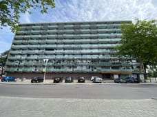 appartementen te huur op Zilverschoonlaan 119