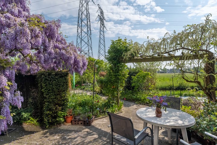 Photo 58 of Wite Finne 41