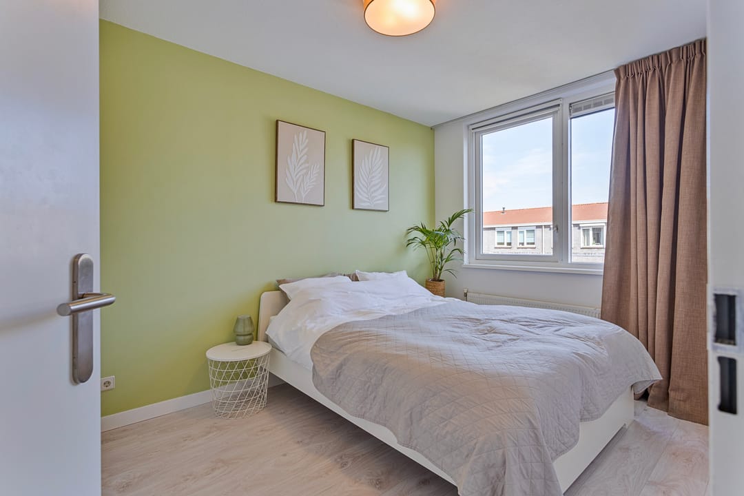 Photo 16 of Piramidepad 11