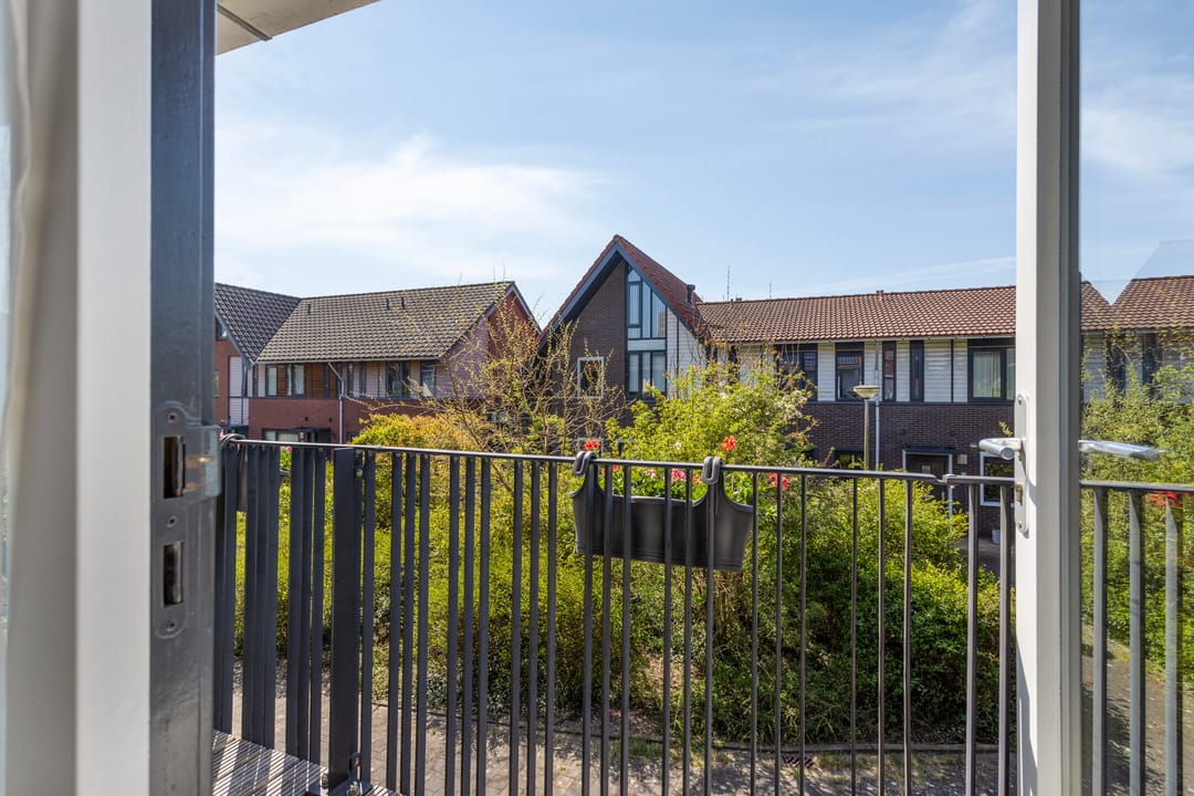 Photo 23 of Piramidepad 11