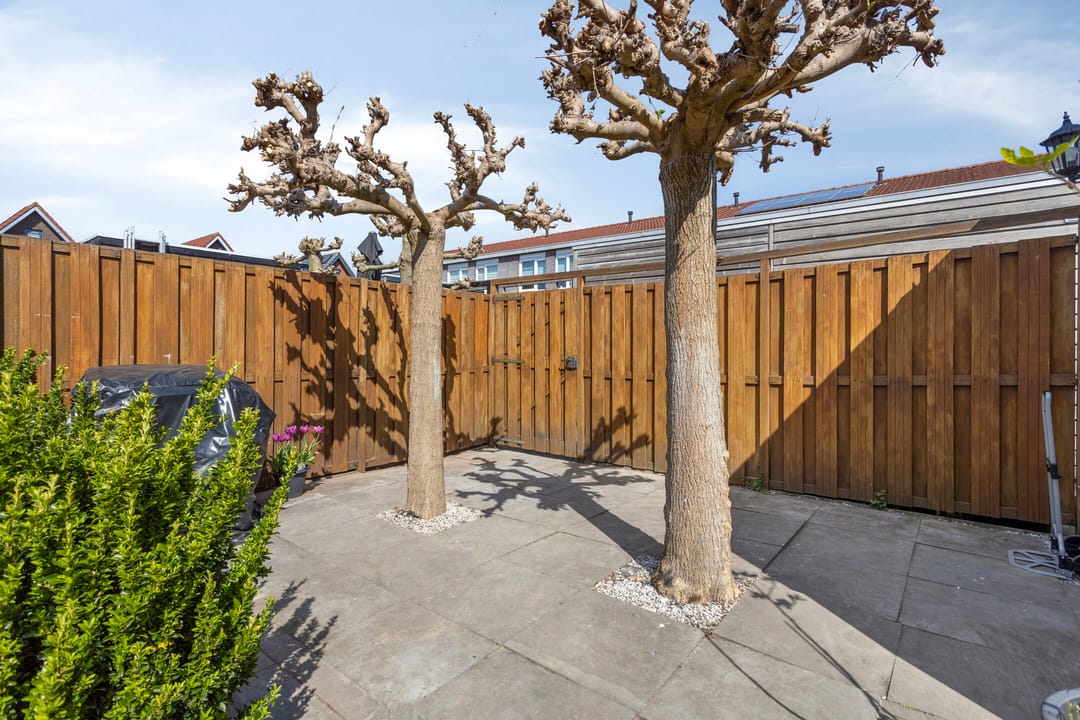 Photo 28 of Piramidepad 11