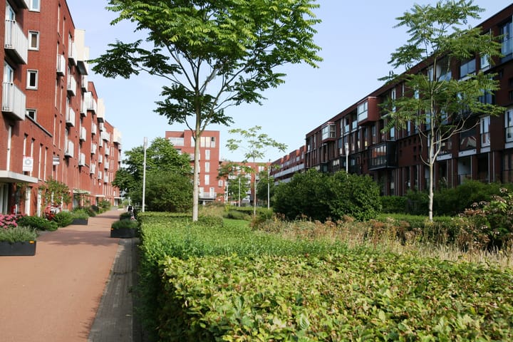 Photo 2 of Rolderdiephof 50