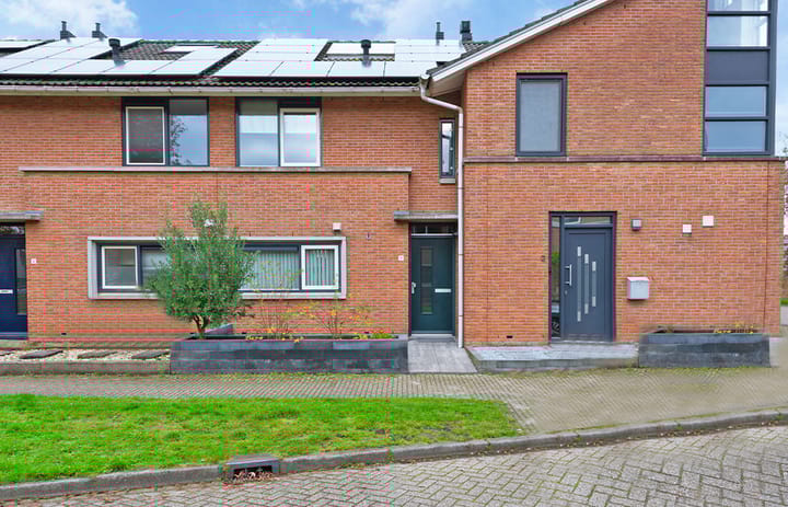 Foto 1 van Nagelkruid 4