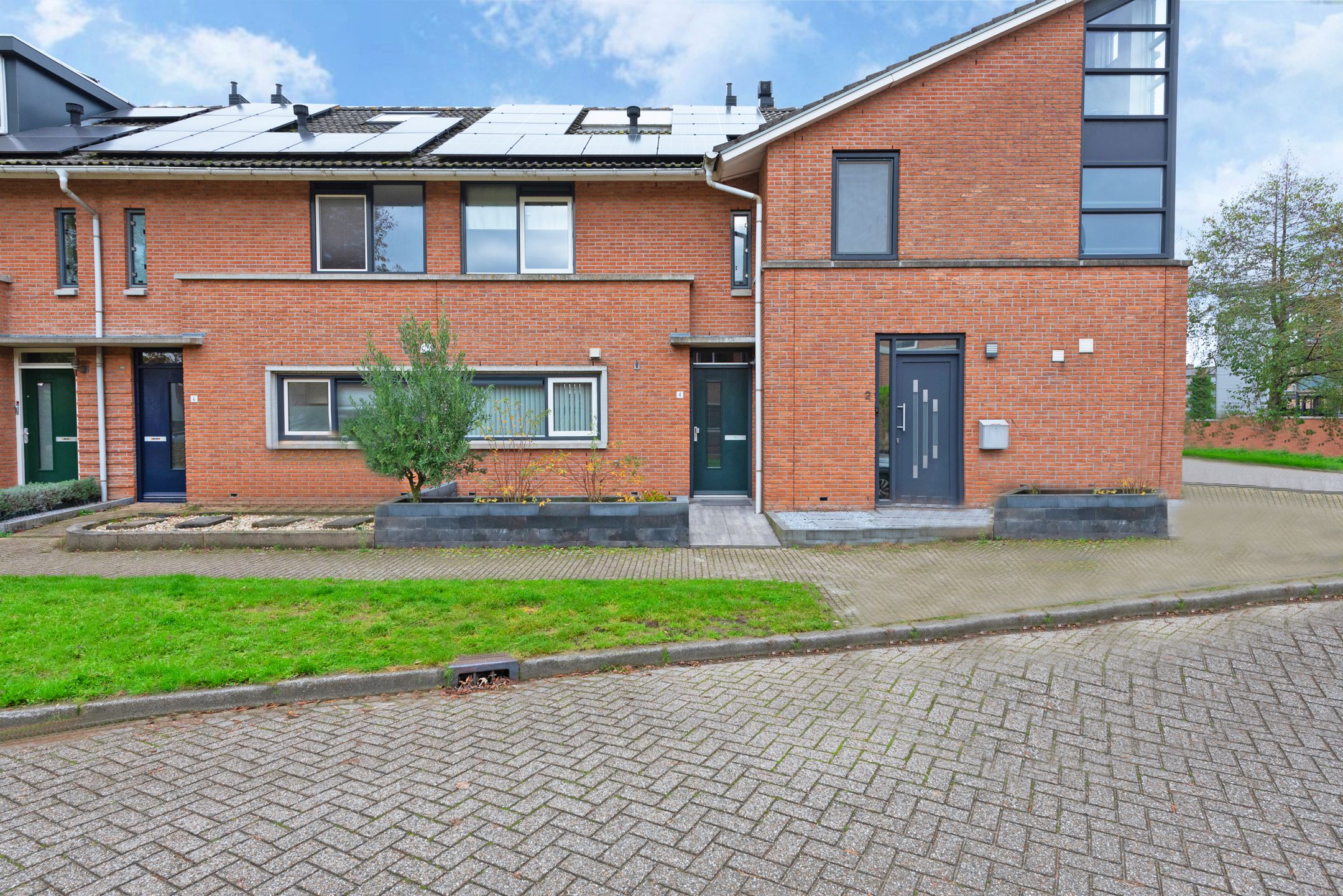 Foto 6 van Nagelkruid 4