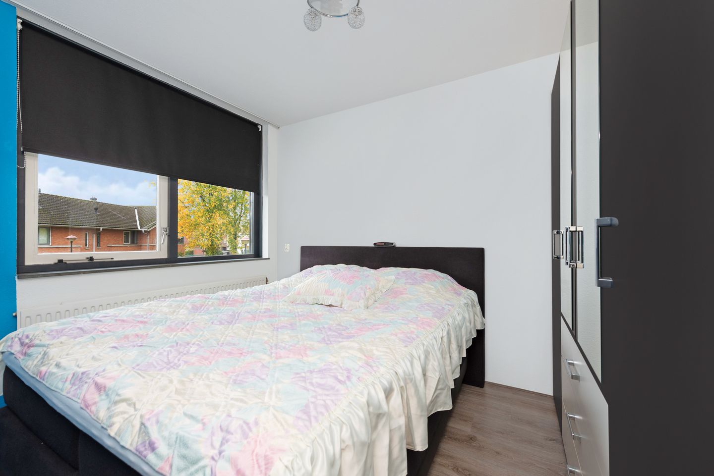 Foto 20 van Nagelkruid 4