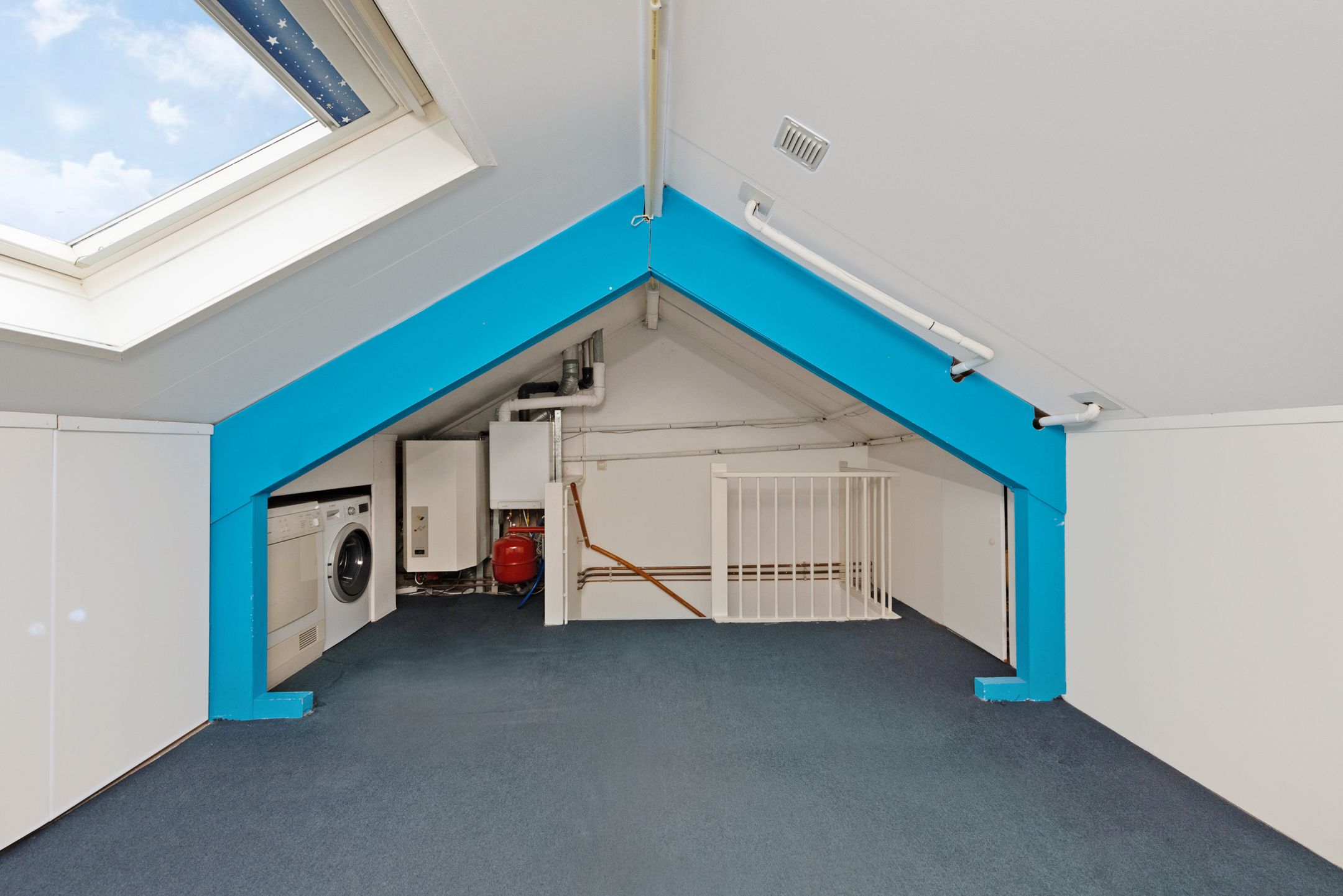 Foto 24 van Nagelkruid 4