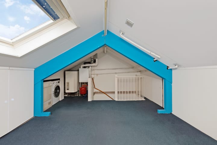 Foto 24 van Nagelkruid 4