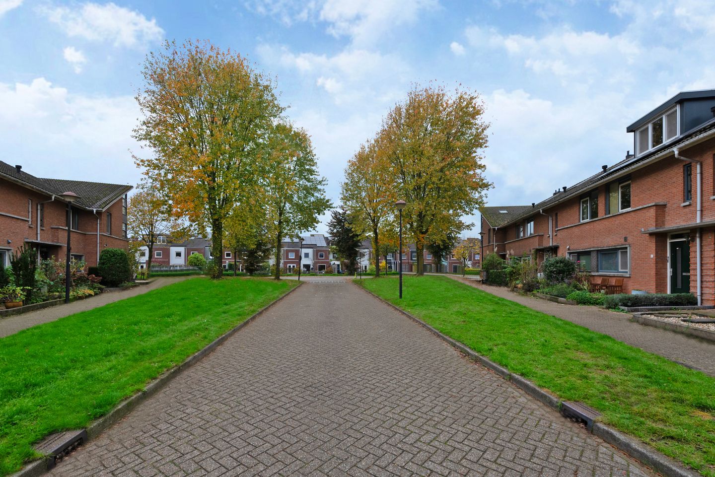 Foto 25 van Nagelkruid 4